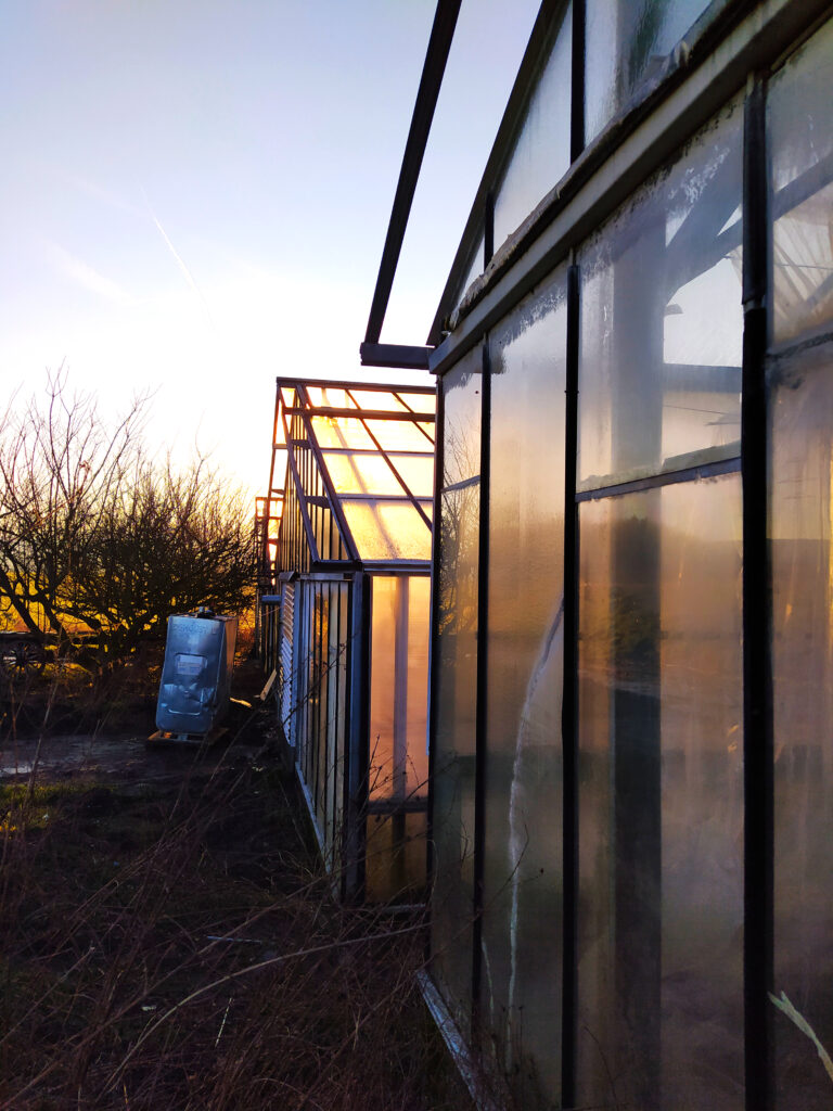 greenhouses at sunrise